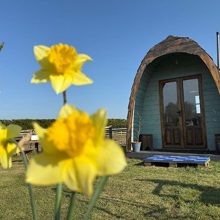 Skipbridge Farm Glamping York Extérieur photo