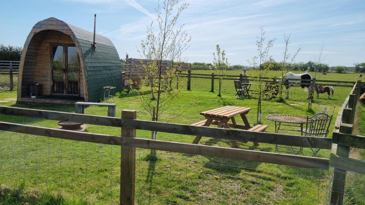 Skipbridge Farm Glamping York Extérieur photo