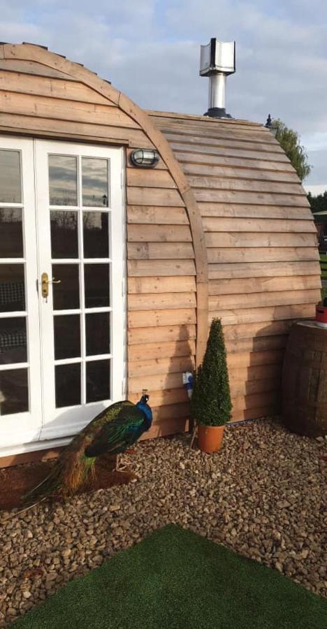 Skipbridge Farm Glamping York Extérieur photo